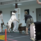 Image for article titled New OK Go Awesome Video Is Full of Awesome Dogs